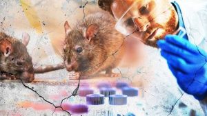 “Hantavirus: Challenge for Global Public Health