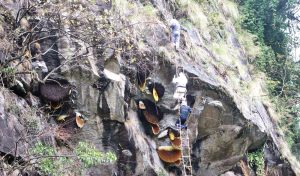 A Terrifying Cliff and Traditional Honey Hunting