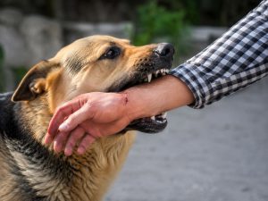 Neglect Can Cost Lives